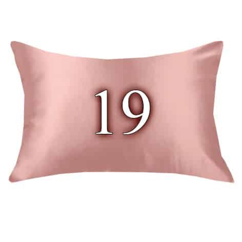 19 mm zīda spilveni