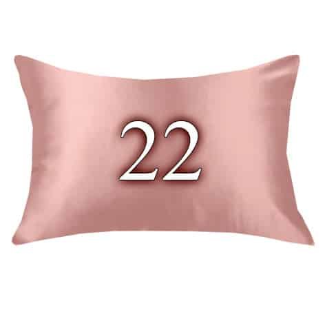 22 mm zīda spilveni